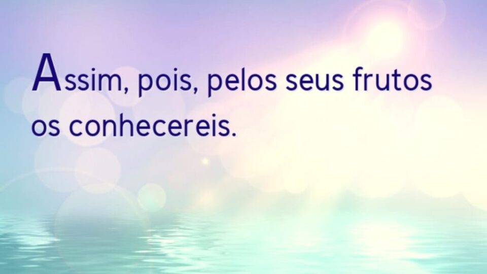 Mateus 7:20