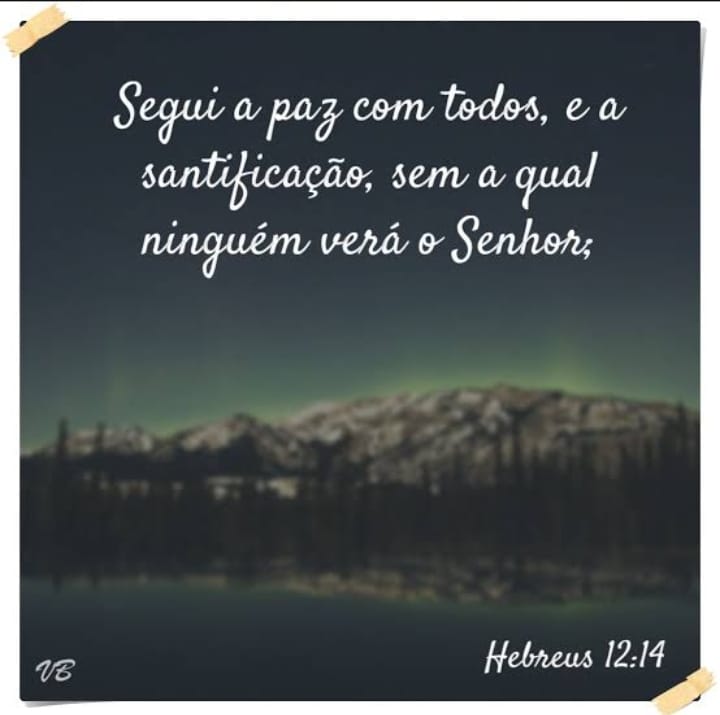Hebreus 12:14